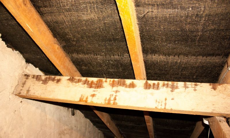 Ceiling Leak Repair Service in Santa Rosa, CA